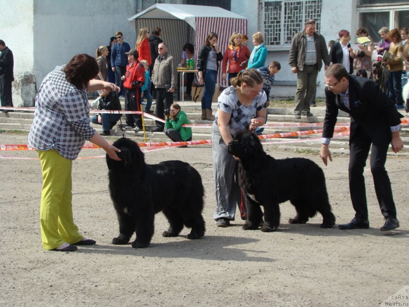 Фотография № 151413