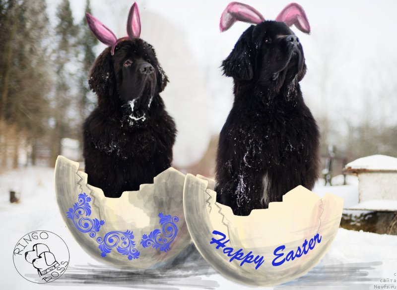 Фотография № 151439