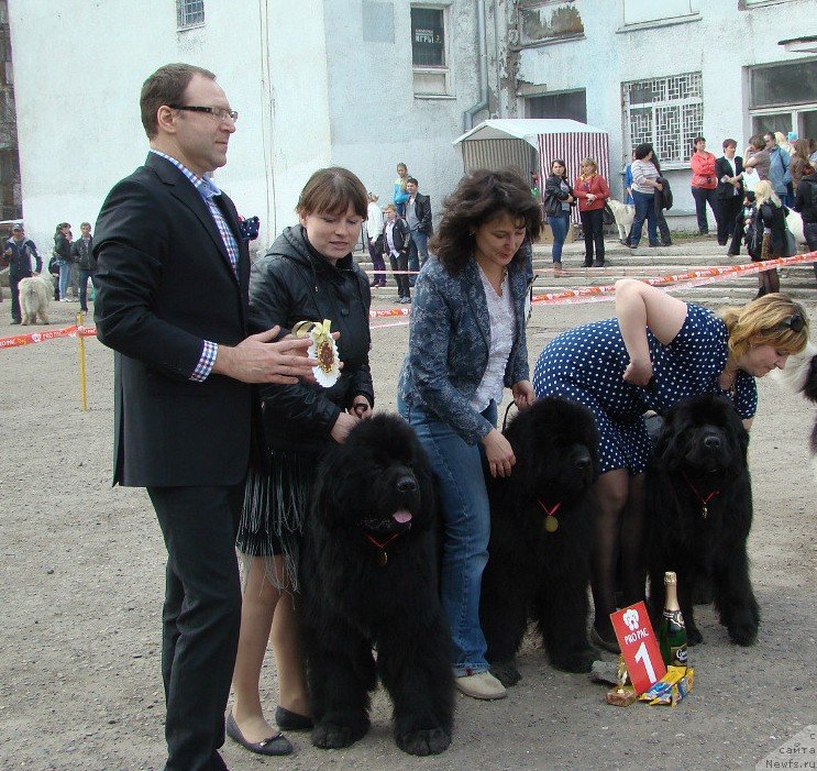 Фотография № 151463