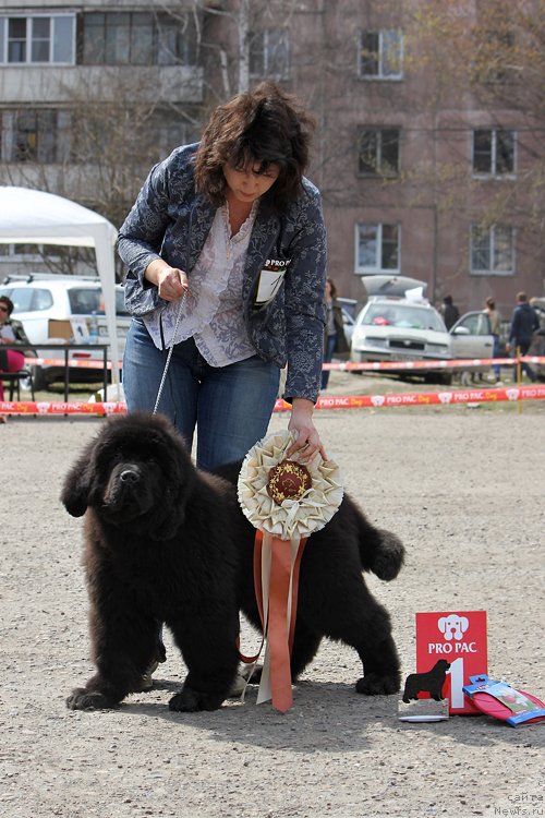 Фотография № 151466