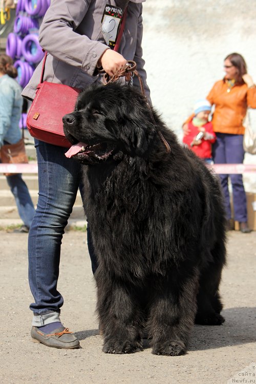 Фотография № 151468