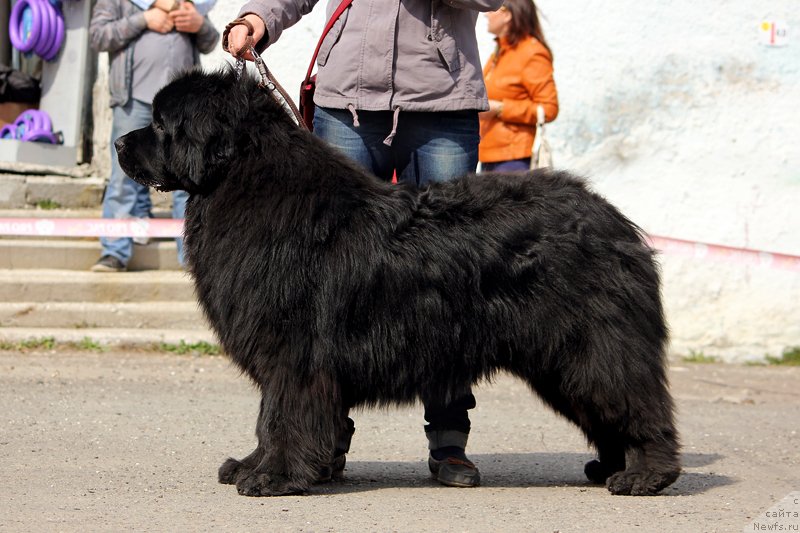 Фотография № 151469