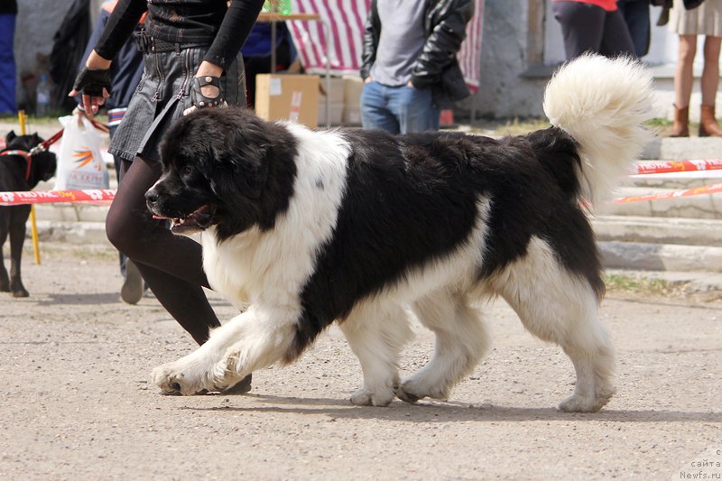 Фотография № 151471