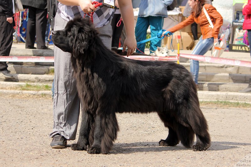 Фотография № 151475