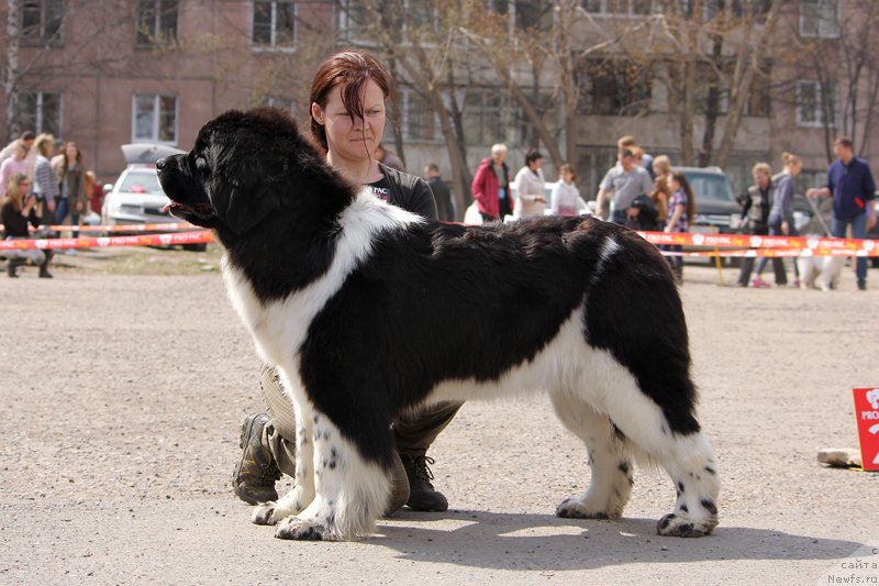 Фотография № 151477