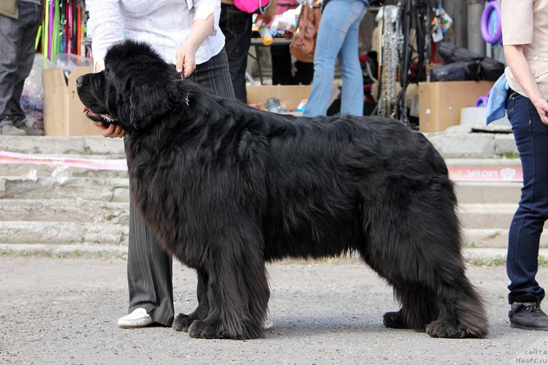 Фотография № 151487