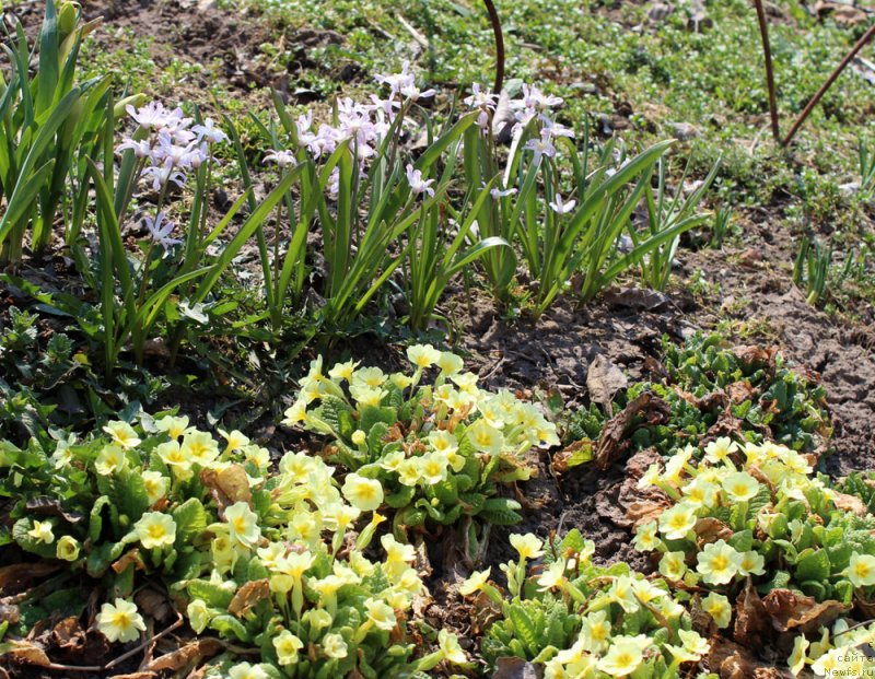 Фотография № 151533