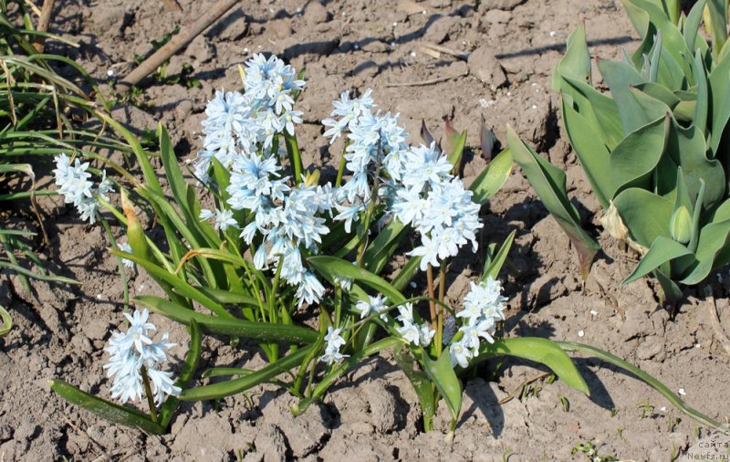 Фотография № 151534