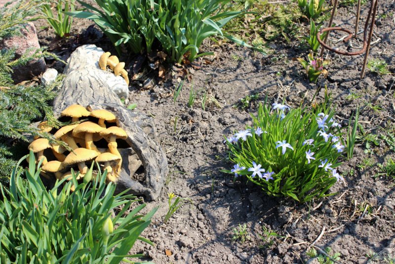 Фотография № 151536