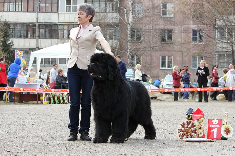 Фотография № 151565