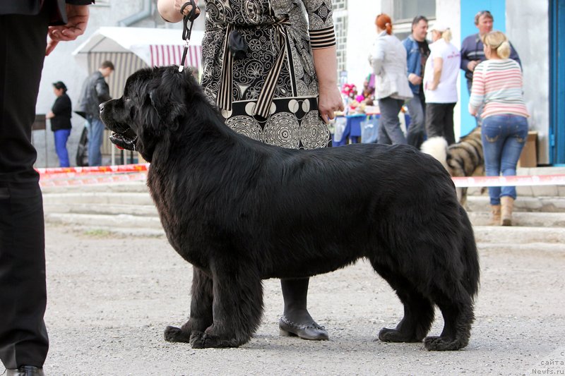 Фотография № 151568