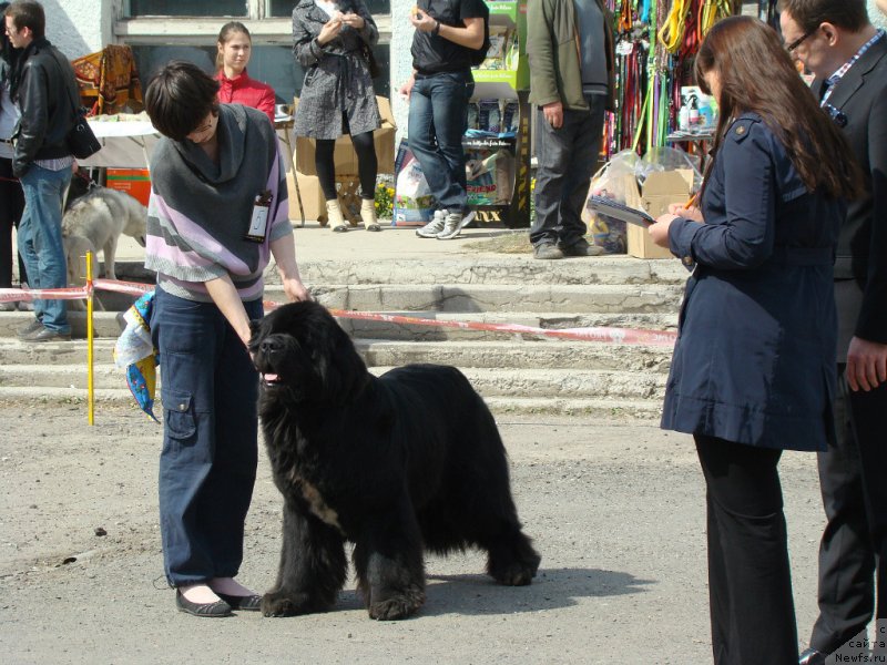 Фотография № 151571