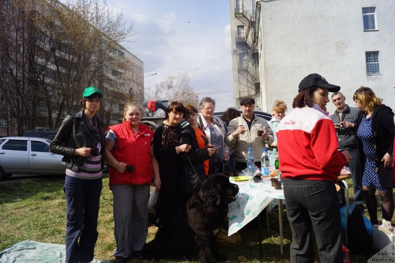 Фотография № 151582