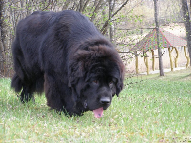 Фотография № 151586