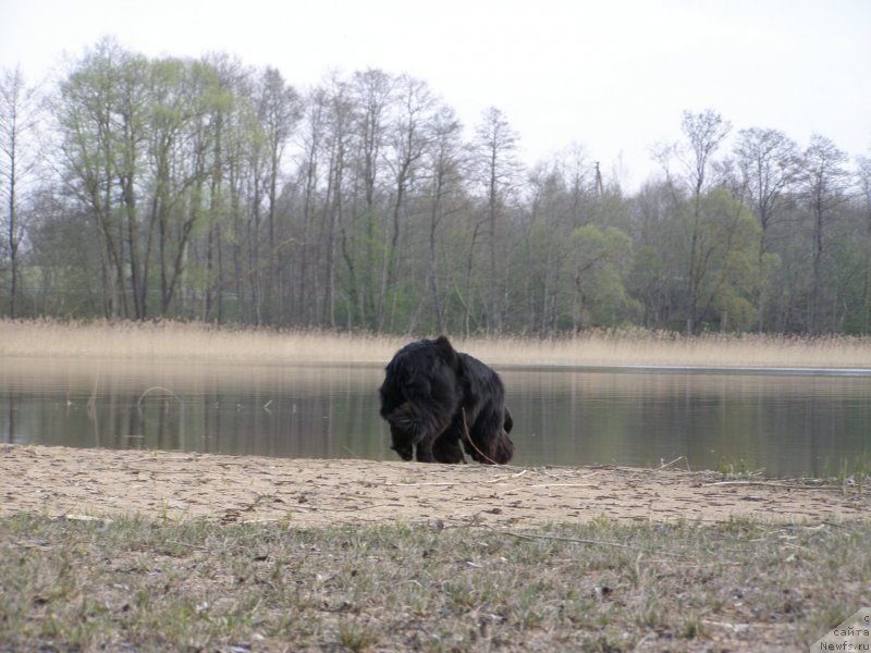 Фотография № 151587