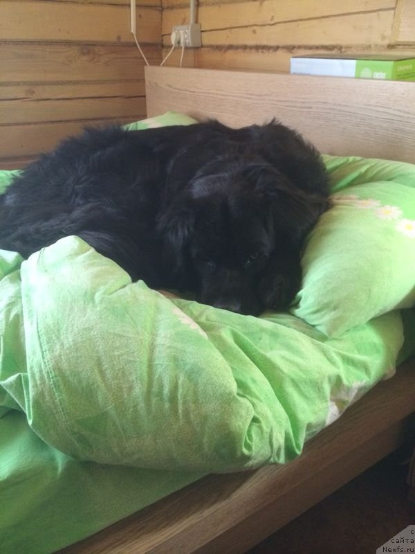 Фотография № 151613