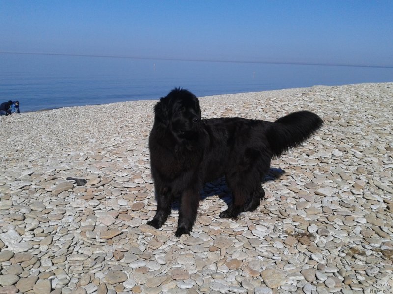 Фотография № 151618