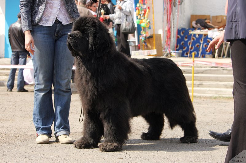 Фотография № 151622