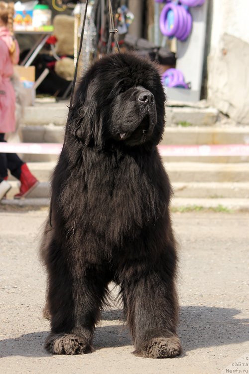 Фотография № 151623