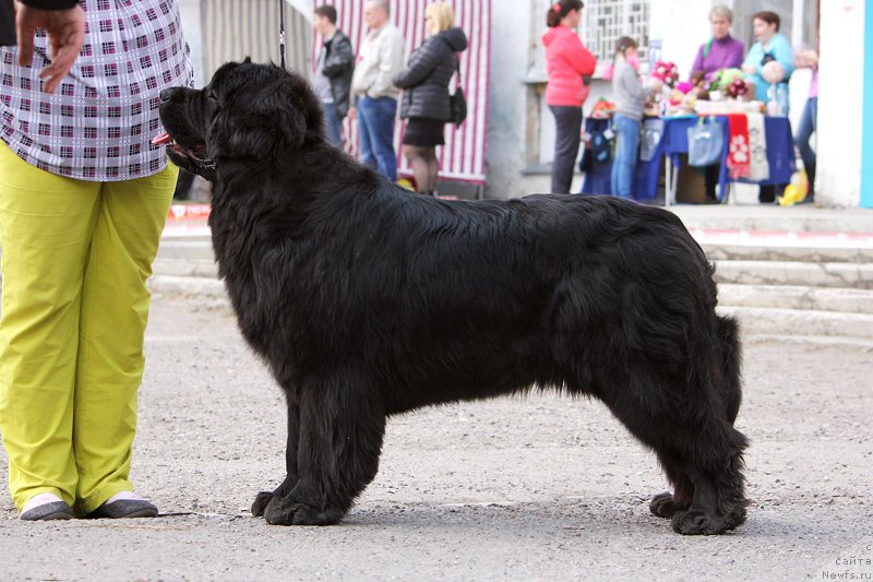 Фотография № 151626