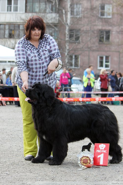 Фотография № 151627