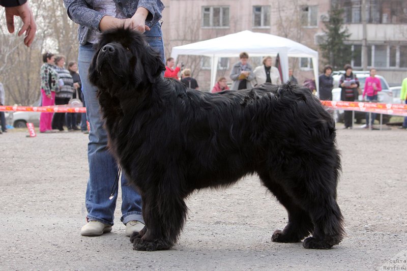 Фотография № 151628