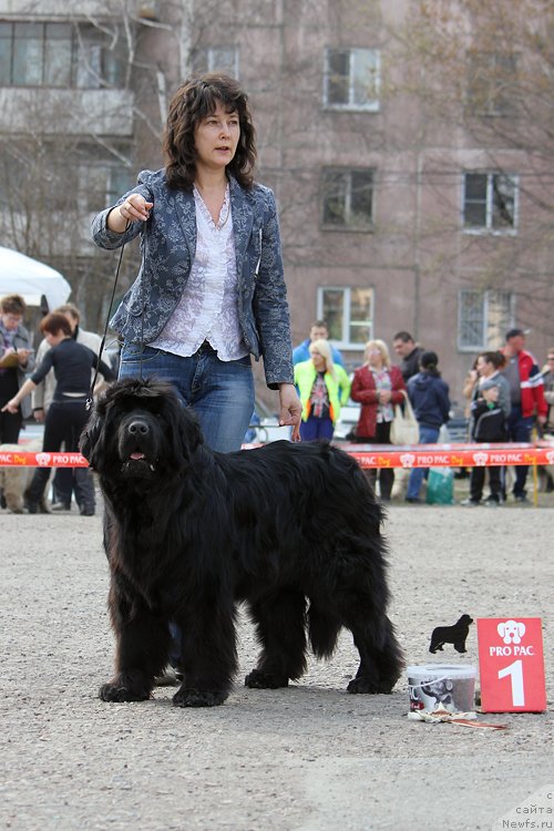 Фотография № 151629