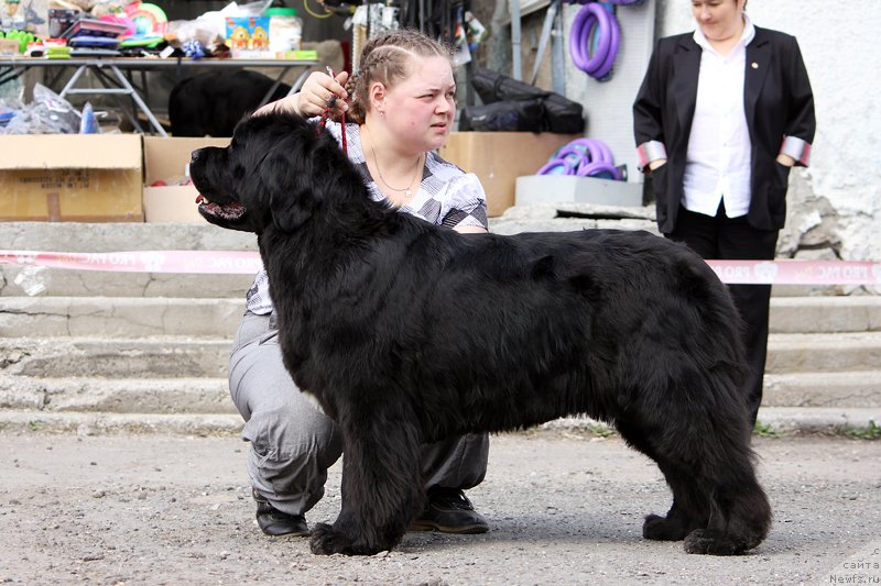 Фотография № 151630