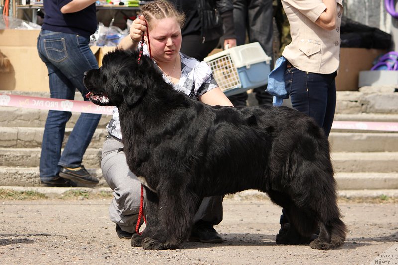 Фотография № 151631