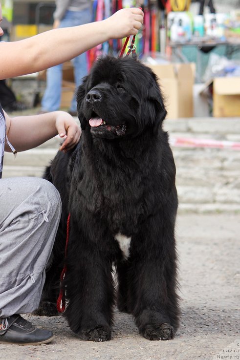 Фотография № 151632