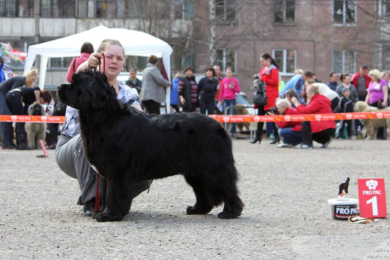 Фотография № 151633