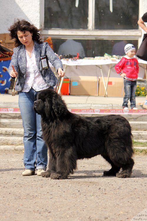 Фотография № 151638