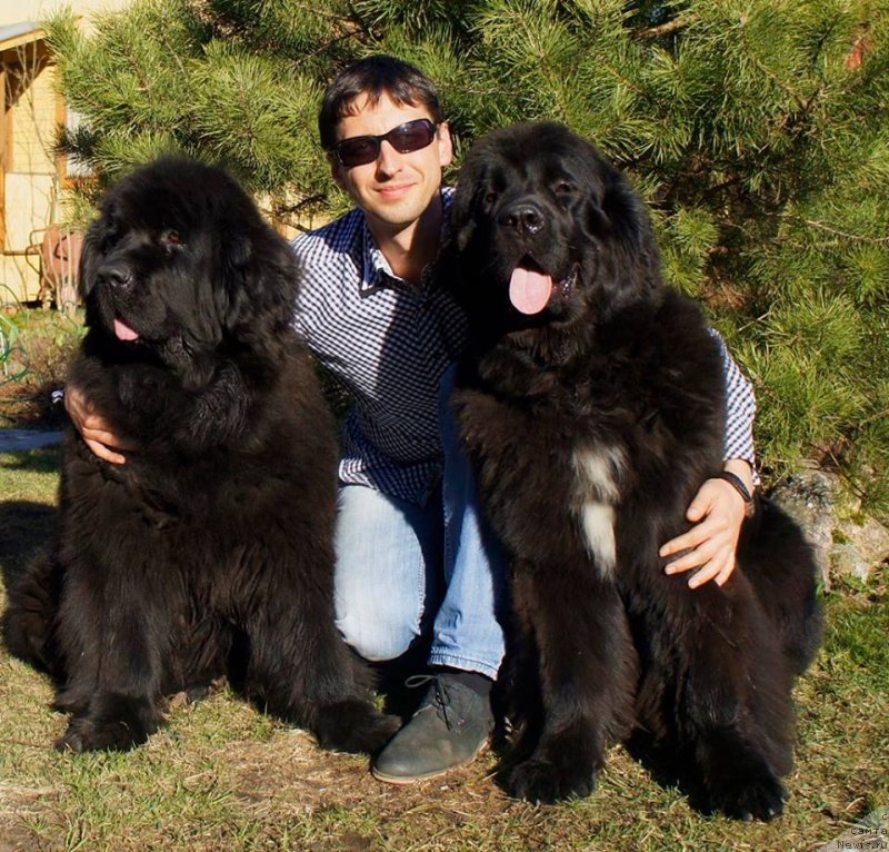 Фотография № 151664