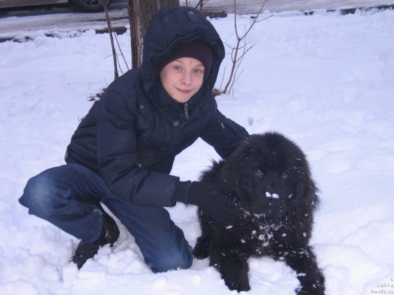 Фотография № 151679