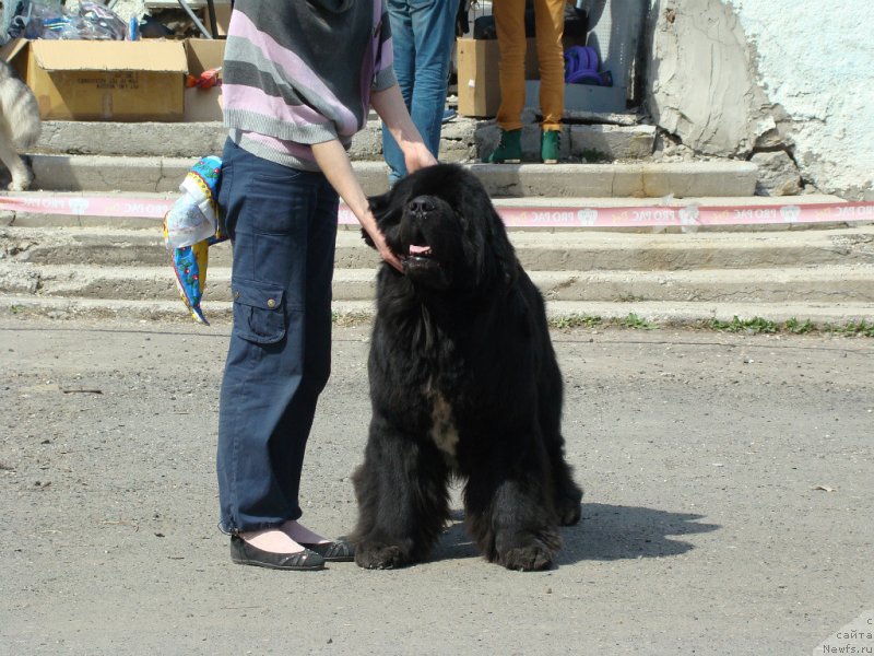 Фотография № 151684