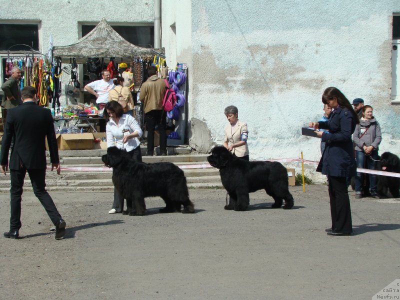 Фотография № 151687