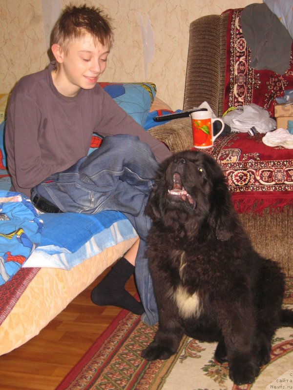 Фотография № 151697