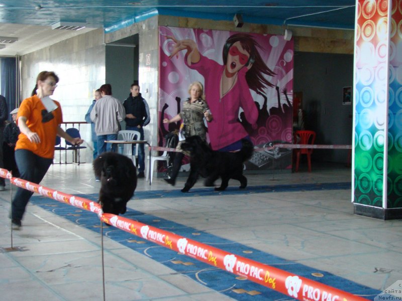 Фотография № 151698