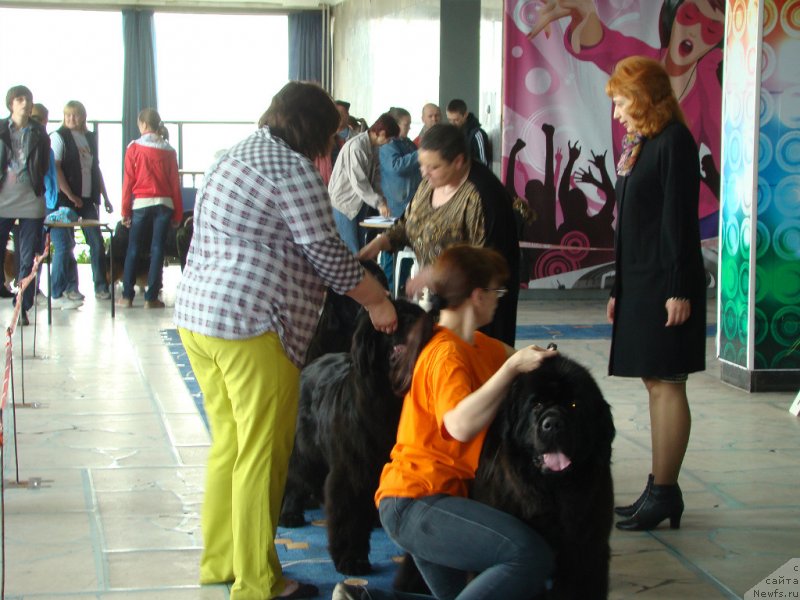 Фотография № 151701