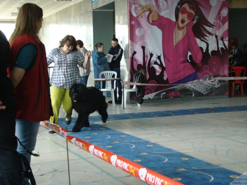 Фотография № 151703