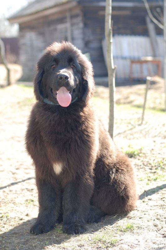 Фотография № 151709