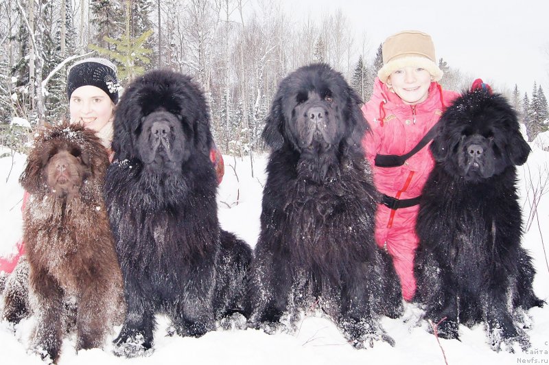 Фотография № 151741