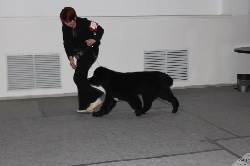 Фотография № 151750