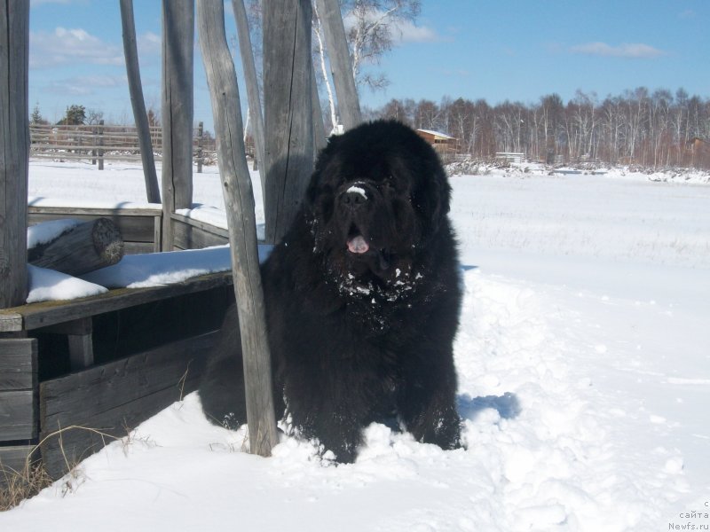 Фотография № 151757