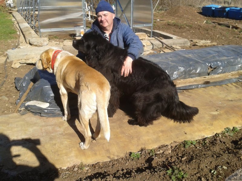 Фотография № 151791