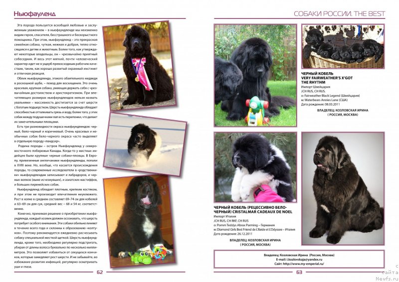 Фото: Ирина Козловская