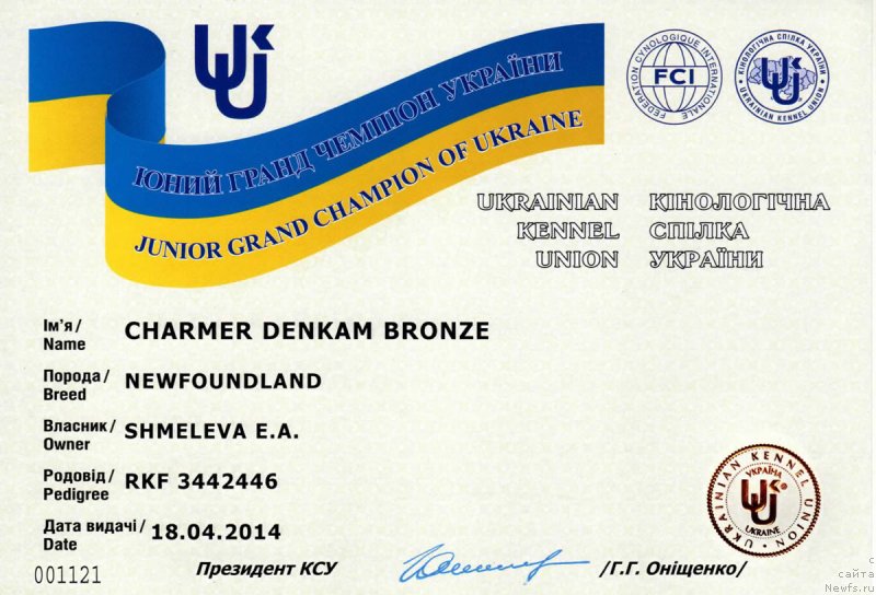 Фото: ньюфаундленд Чармер Денкам Бронз (Charmer Denkam Bronze)