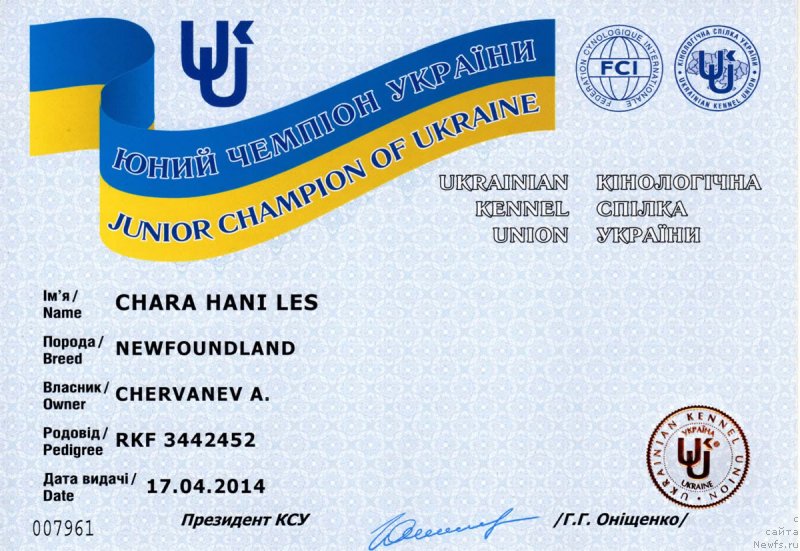 Фото: ньюфаундленд Чара Хани Лес (Chara Hani Les)