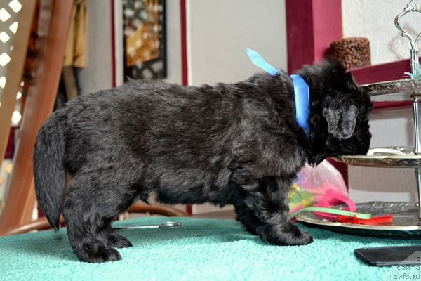 Фотография № 151862