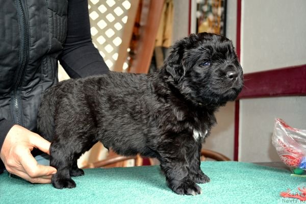 Фотография № 151869